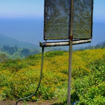 Net to gain some water from the mist